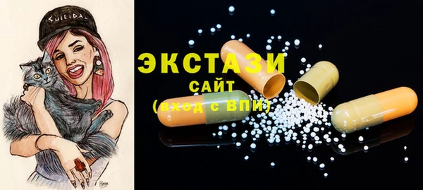 дмт Гусев