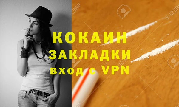 дмт Гусев