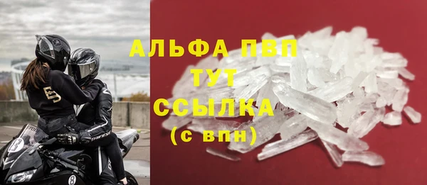 дмт Гусев