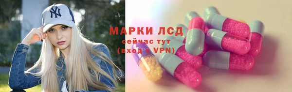 стаф Гусь-Хрустальный