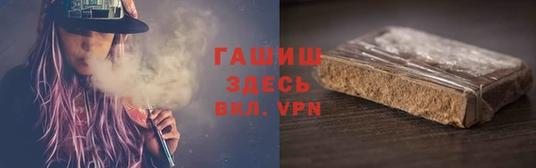 дмт Гусев