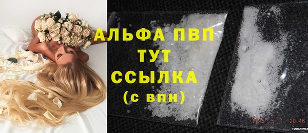 стаф Гусь-Хрустальный