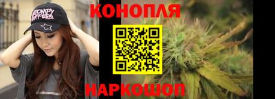 apvp Дубна