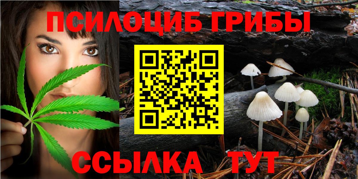 Галлюциногенные грибы мицелий Кашира